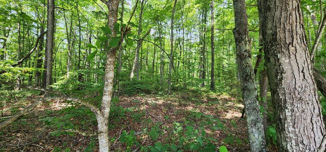 20 Bluff View Loop, Home with 0 bedrooms, 0 bathrooms and null parking in Allardt TN | Image 13