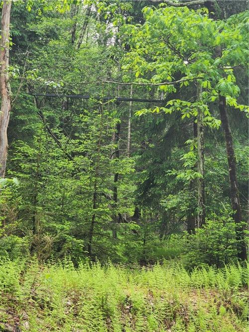 T/B/D Grey Road, Fallsburg, NY, 12779 | Card Image