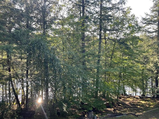 17235 Little Archibald Road, House other with 3 bedrooms, 2 bathrooms and null parking in TOWNSEND WI | Image 50