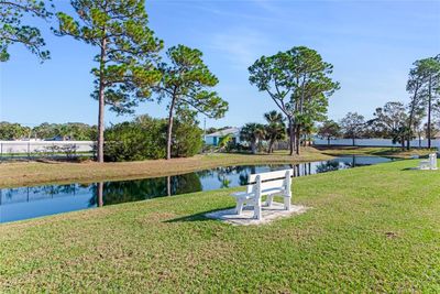 Pond right across the street | Image 2