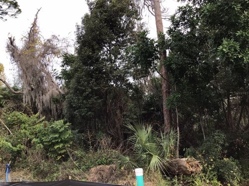 1305 Almaria Court, PALM HARBOR, FL, 34683 | Card Image