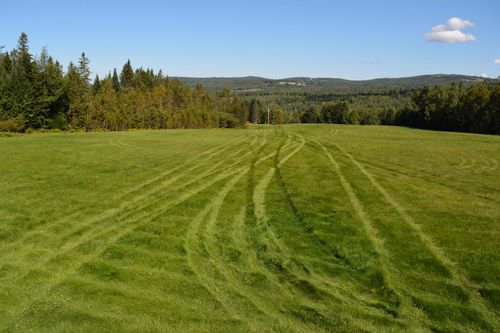 - Harrys Way, Colebrook, NH, 03576 | Card Image