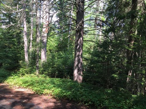 0 Lake Placid Club Way, Lake Placid, NY, 12946 | Card Image