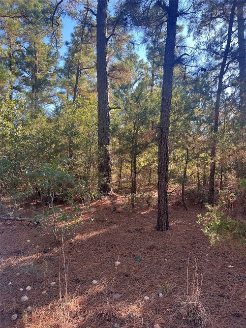 TBD Pine Lodge Dr, Bastrop, TX, 78602 | Card Image