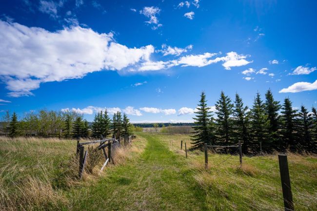37 Blazer Estates Ridge, Home with 5 bedrooms, 2 bathrooms and 8 parking in Rural Rocky View County AB | Image 4