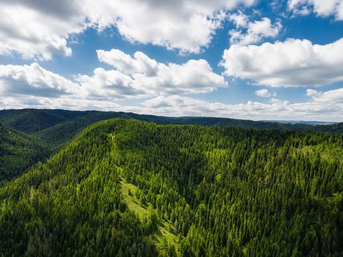 30 Acres On Biscuit Ridge Rdg, Other, WA, 99361 | Card Image