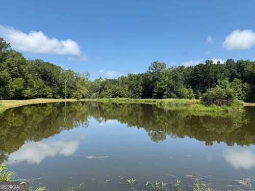 110 ACRES Talbotton Hwy, Butler, GA, 31006 | Card Image