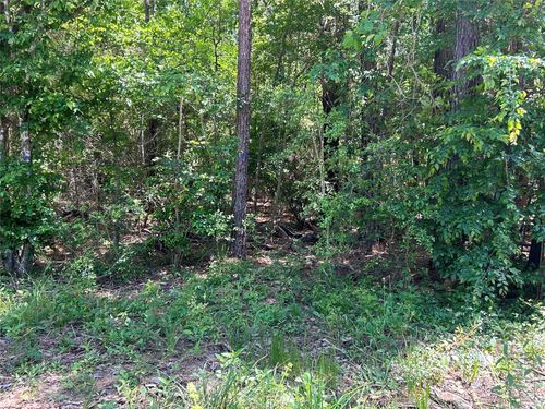 0 Redwood Ln, Montgomery, TX, 77356 | Card Image