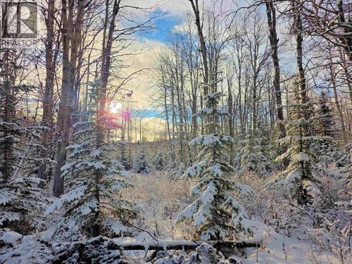 frac-N1/2 Dl 2557 Binta Road, Burns Lake, BC, V0J1E0 | Card Image
