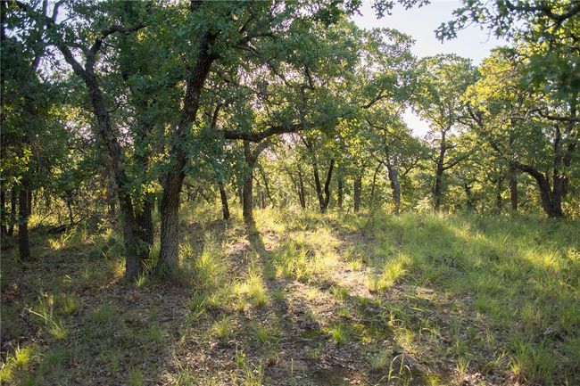 1020 Post Oak Rd, Home with 0 bedrooms, 0 bathrooms and null parking in Gordon TX | Image 26