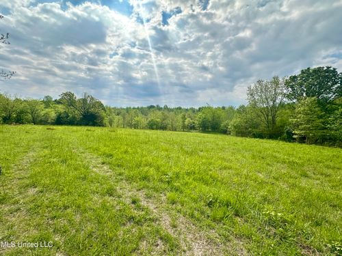 0 Fresno Cir, Enid, MS, 38927 | Card Image