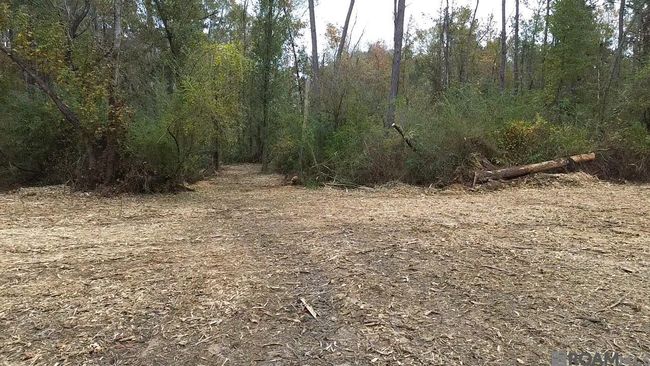 Parcel 2-A Hano Rd, Home with 0 bedrooms, 0 bathrooms and null parking in Independence LA | Image 5
