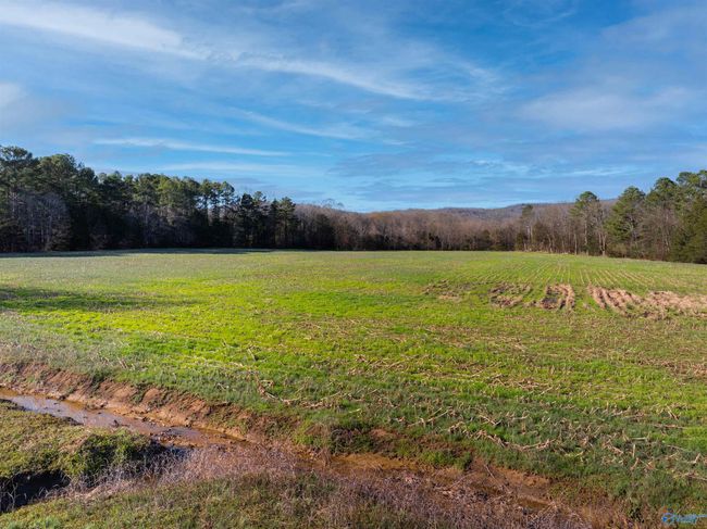 50 Acres Hurt St, Home with 0 bedrooms, 0 bathrooms and null parking in Hollywood AL | Image 6