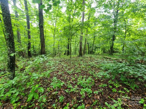 9999 Henry Worley Ln, Marshall, NC, 28753 | Card Image