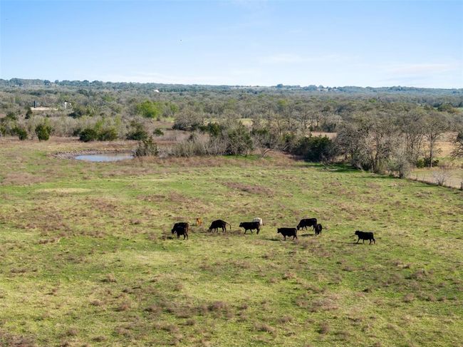8232 Fm 2145, Home with 3 bedrooms, 3 bathrooms and null parking in Ledbetter TX | Image 6