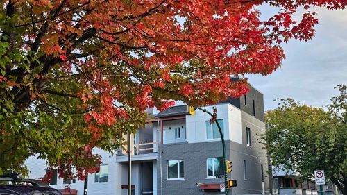 316-2250 E 1st Ave, Vancouver, BC, V5N0K2 | Card Image
