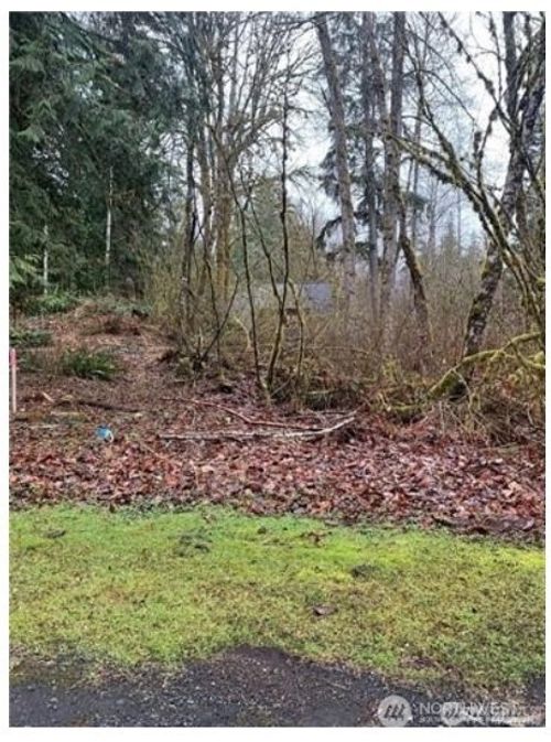 16007 Shuksan Rim Dr, Deming, WA, 98244 | Card Image