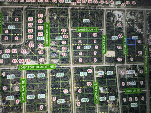 110 Delmar Ave Ne, LAKE PLACID, FL, 33852 | Card Image