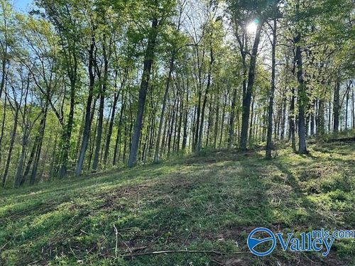 Lot 27 Hualapai Ln, Guntersville, AL, 35976 | Card Image