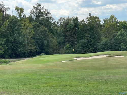 Lot 14 Grandview Cir, Glencoe, AL, 35905 | Card Image