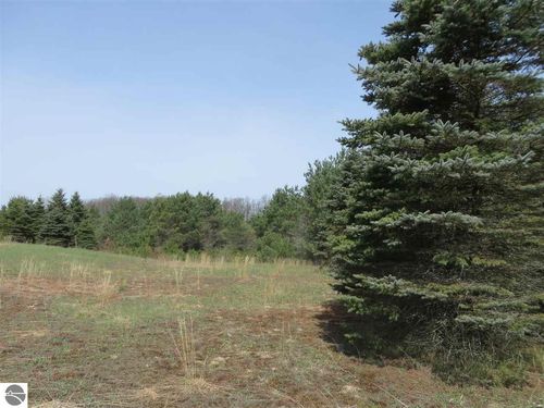 3 Spruce Hollow Trce, Fife Lake, MI, 49633 | Card Image