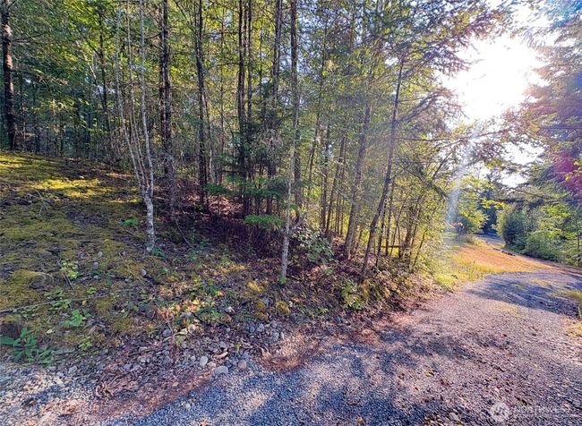 19620 199 Th St E, Home with 0 bedrooms, 0 bathrooms and null parking in Orting WA | Image 7