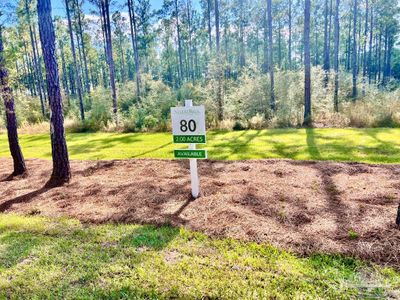 Lot 80 Naturewalk Dr, Home with 0 bedrooms, 0 bathrooms and null parking in Pace FL | Image 2