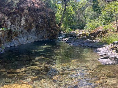 8980 Reading Creek Rd, Douglas City, CA, 96024 | Card Image