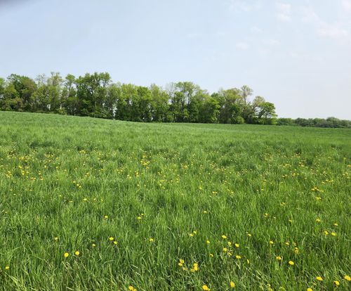 TBD 188th Avenue, Wakefield Twp, MN, 56368 | Card Image