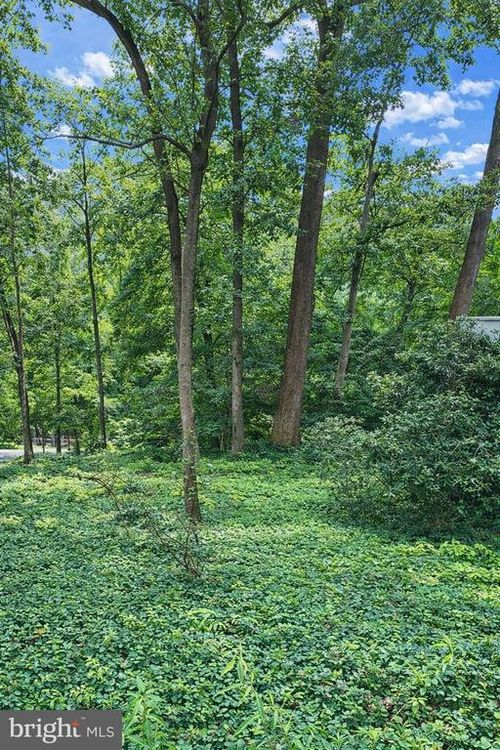 Lot P6 Block 3 Sligo Creek Parkway, TAKOMA PARK, MD, 20912 | Card Image