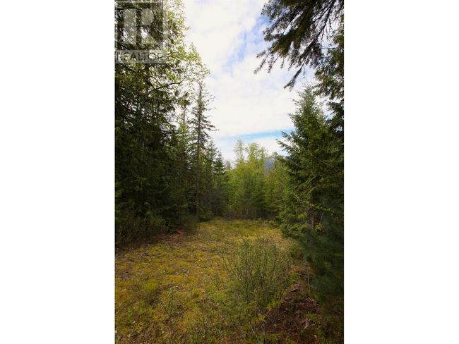 434 Lexington Ave, Home with 0 bedrooms, 0 bathrooms and null parking in Procter BC | Image 44