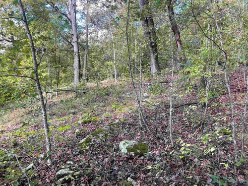 0 Highway 1, Webbville, KY, 41180 | Card Image