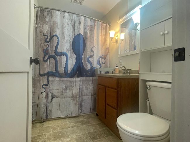 main level full bath | Image 16