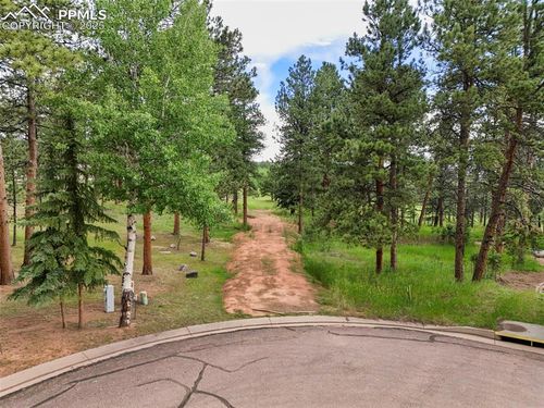 220 Wildrose Court, Woodland Park, CO, 80863 | Card Image