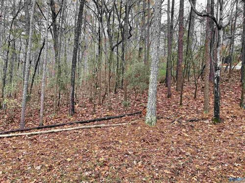 Lot 5 Greenbriar Rd, Gadsden, AL, 35901 | Card Image