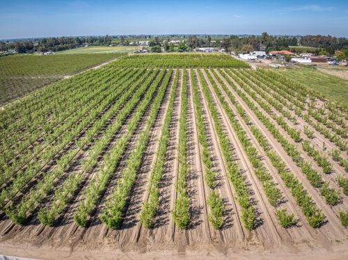 42682 Road 72, Dinuba, CA, 93618-9127 | Card Image