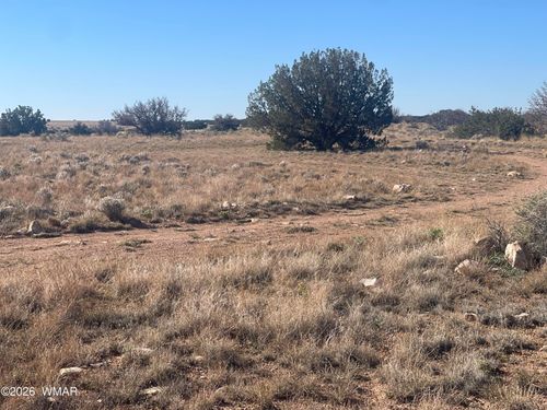 1515 Pumpkin Patch Rd, Heber, AZ, 85928-5974 | Card Image