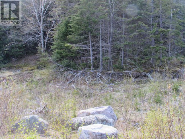 37-41 A Conception Bay Highway, Home with 0 bedrooms, 0 bathrooms and null parking in Harbour Main NL | Image 14