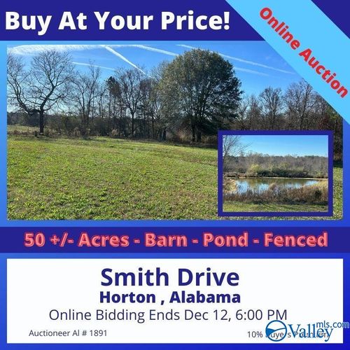 50 ACres Smith Drive, Horton, AL, 35980 | Card Image