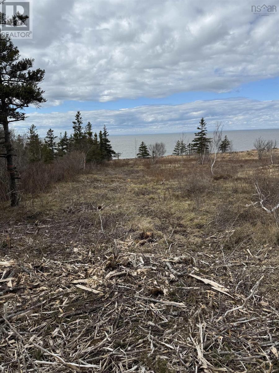 Land in Phinneys Cove