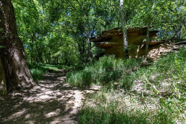 View of wooded area | Image 30