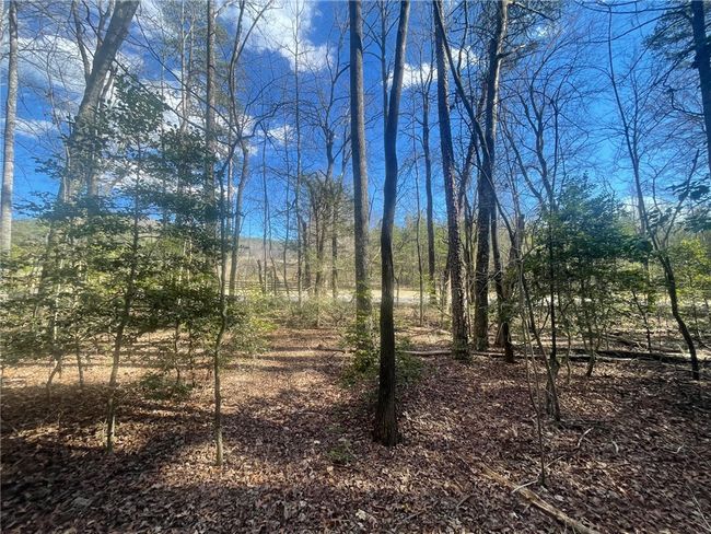 00 Academy Rd, Home with 0 bedrooms, 0 bathrooms and null parking in Mountain Rest SC | Image 24