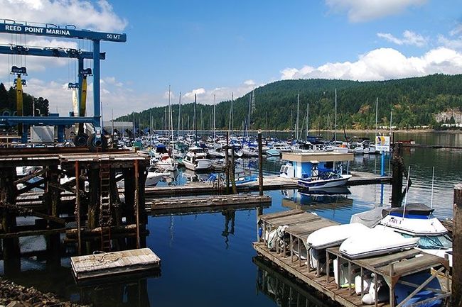 1160 Tuxedo Dr, Home with 0 bedrooms, 0 bathrooms and null parking in Port Moody BC | Image 11