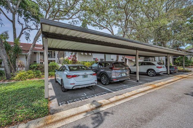 APT-200J - 300 S Florida Ave, Condo with 2 bedrooms, 2 bathrooms and null parking in TARPON SPRINGS FL | Image 5