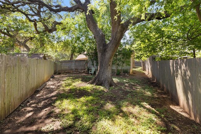 View of fenced backyard | Image 37