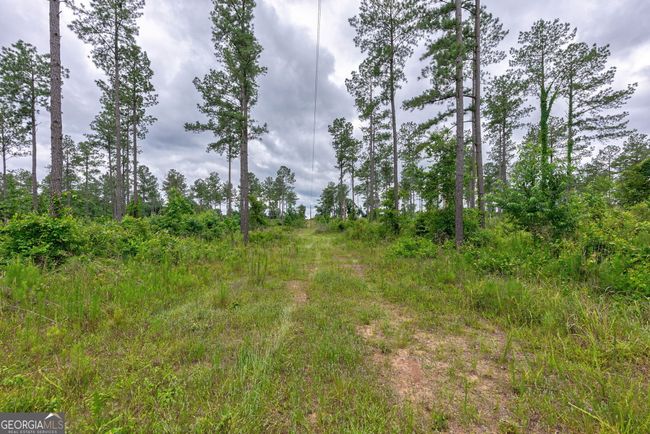 1 Mcwhorter Rd, Home with 0 bedrooms, 0 bathrooms and null parking in Stephens GA | Image 4