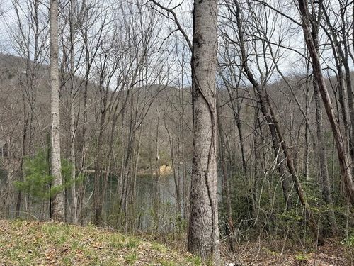 TBD Indian Lake Rd, Topton, NC, 28781 | Card Image