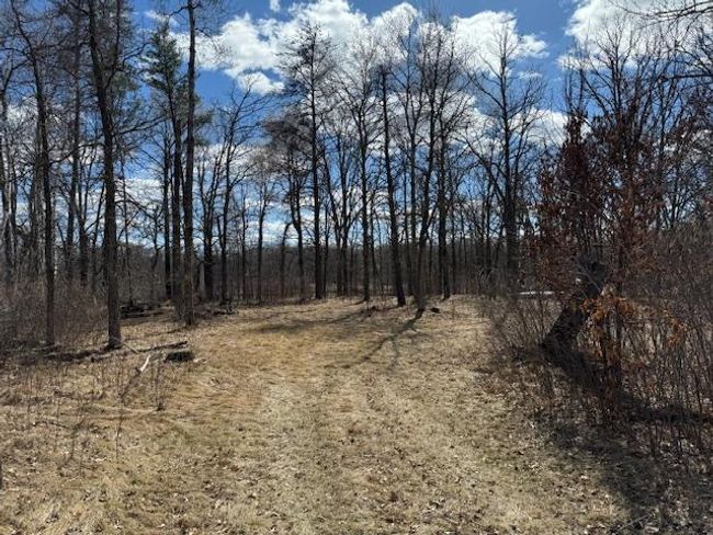24051 324 Th St, Home with 0 bedrooms, 0 bathrooms and null parking in Sebeka MN | Image 21