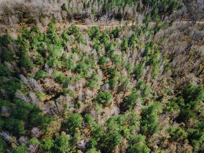 5905 Line Rd, Home with 0 bedrooms, 0 bathrooms and null parking in Ethel LA | Image 5