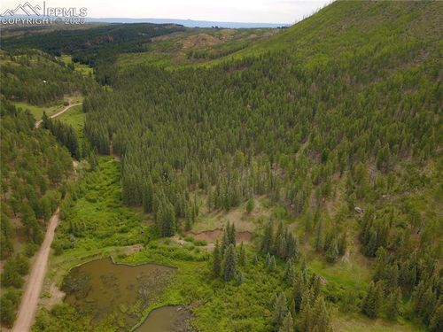 10223 Trail Creek Rd, Florissant, CO, 80816 | Card Image